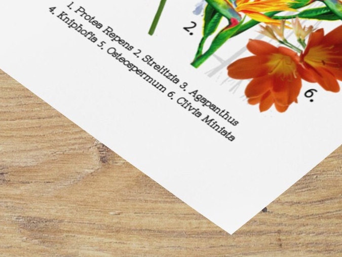 Kitchen Tea towel Bar Towel Hand Towel South African flowers Protea Strelitzia