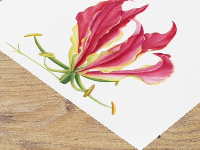 Flame Lily Tea Towel Gloriosa superba Zimbabwe Brightly Flame Lily fabric kitchen / bar towel / dish towel housewarming birthday gift