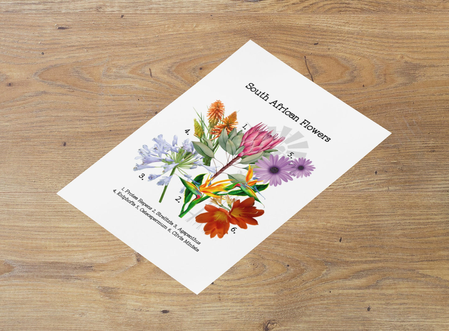 Kitchen Tea towel Bar Towel Hand Towel South African flowers Protea Strelitzia