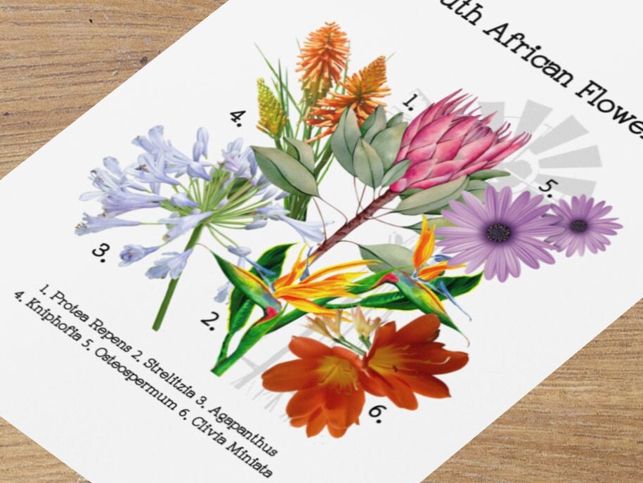 Kitchen Tea towel Bar Towel Hand Towel South African flowers Protea Strelitzia