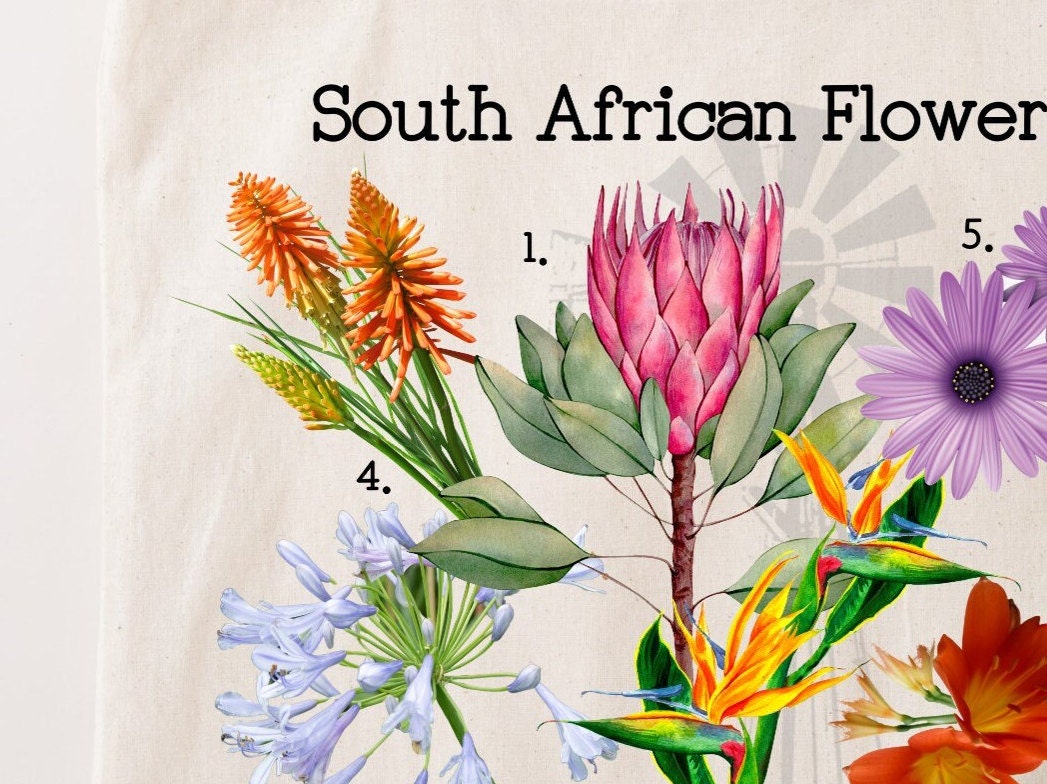 South Africa flowers reusable bag. Protea Strelitzias Daisy Canvas Tote. Mother’s Day gift. Spring gift.