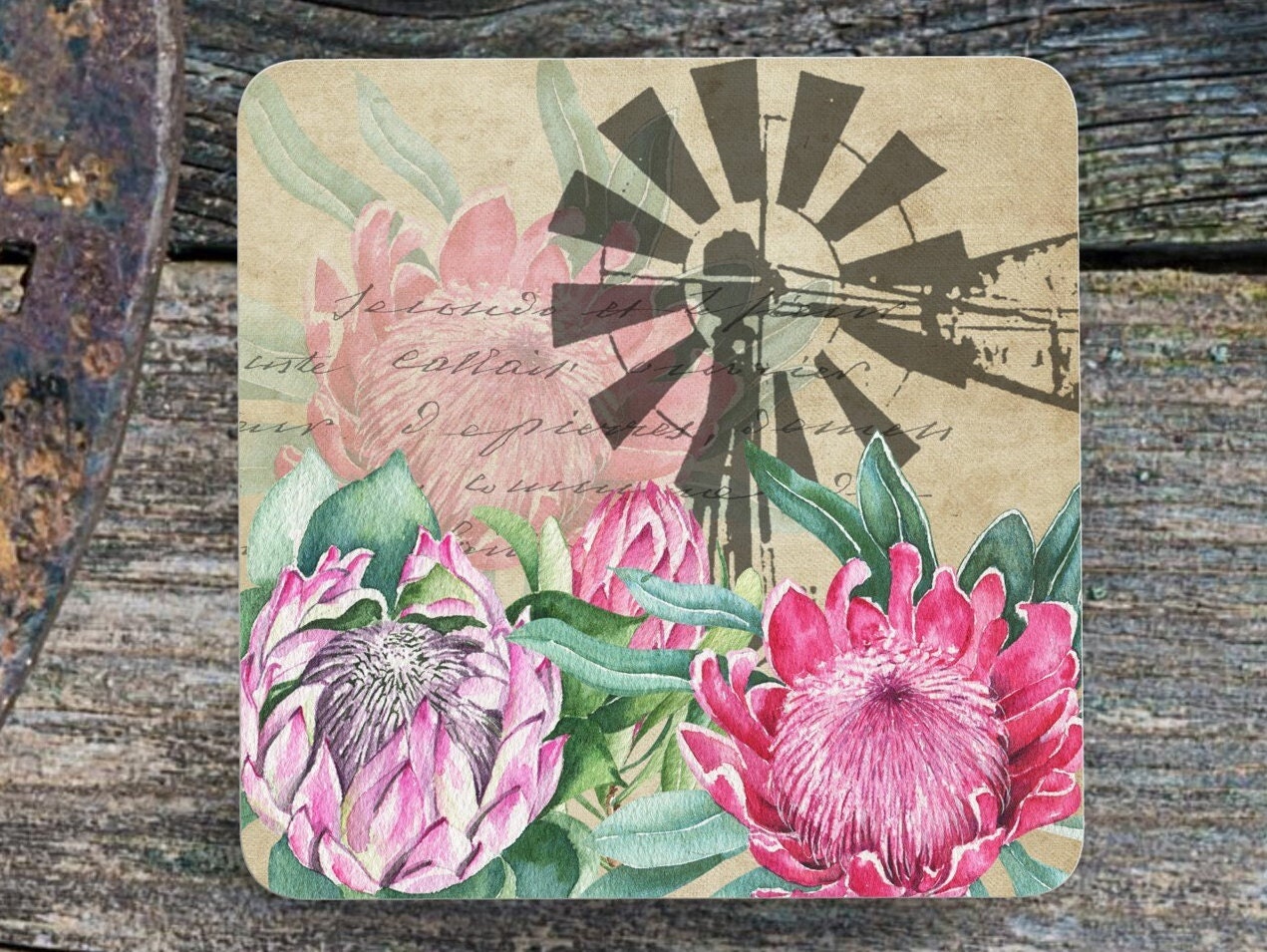 Set of 4 Coasters with Display Stand, Karoo Windmill with Proteas' coasters. South African coasters. ( 9x9cm )