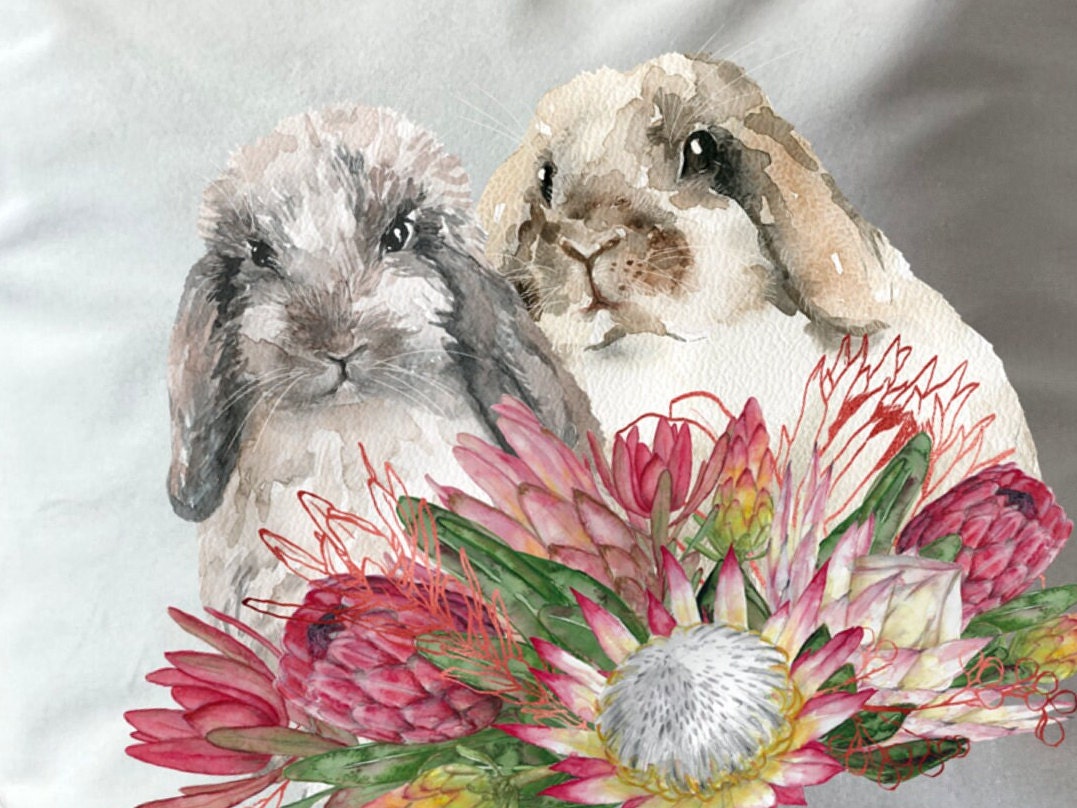 Proteas and Rabbits Bunnies plush white deluxe 'soft feel' scatter cushion. ( 40x40cm ) Easter cushion gift. Mother’s Day gift.Spring gift.